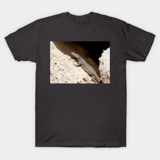 Lizard Rock T-Shirt